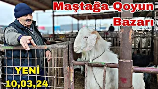 Maştağa Qoyun Bazarı 10 mart 2024. 0102251819