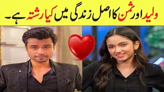 Baby Baji Drama Actor Fazal Hussain Aka Waleed & Aina Asif Aka Saman Real Life Relation #babybaji