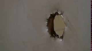 It's Always Sunny in Philadelphia - There is a hole in the wall.