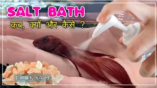 Betta Fish Treatment- Sick Betta Fish Or Fin Rot Disease | how to save fish from dying