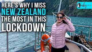 Here's Why I Miss New Zealand The Most In This Lockdown | Curly Tales