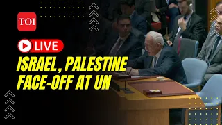 UN Security Council LIVE: Israel-Palestine face-off at UN | Discussion on Gaza, Ukraine, Middle East