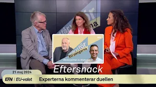 EU-duellen: Gunnar Wetterberg och Bettina Kashefi analyserar V mot M