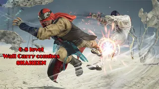 0-8 Level SHAHEEN Wall Carry Combo Tekken 8