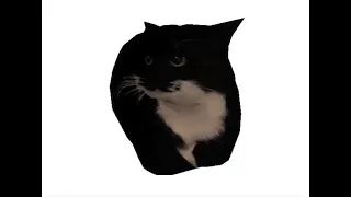 low poly cat spin to funkytown for 1 hour