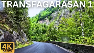 Transfagarasan Romania Scenic Drive 2023 - Southern Part - Forest Road 4K (Bear Encounter)