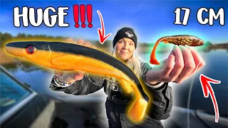 CAN YOU CATCH PIKE ON ENORMOUS BAIT IN THE ARCHIPELAGO?! | Team Galant