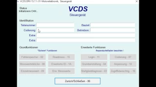 Audi/VW auf Steuerkettenlängung Prüfen mit VCDS