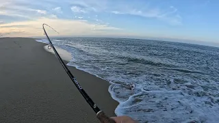 Fishing the NJ Surf in Summer is Full of Surprises!
