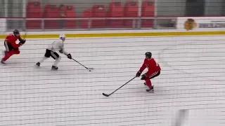 Chicago Blackhawks  - Connor Bedard and Lukas Reichel goals. NHL.