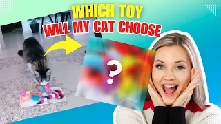 Feline Faves: Watch as My Crazy Cat Chooses Her Ultimate Toy!