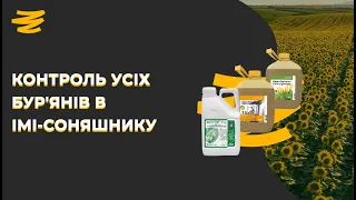 МОТОР.🌻 РОЗУМНИЙ ГЕРБІЦИД НА ІМІ-СОНЯШНИК БЕЗ ПІСЛЯДІЇ 😎