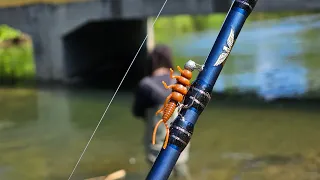 New Personal Best Trout Caught in This Beautiful River (Twice!!)