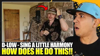 HES DIFFERENT | D-Low - Sing a Little Harmony (Beatbox Video) Reaction