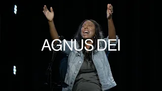 Agnus Dei | Nicole Henry | Dwelling Place Anaheim Worship Moment