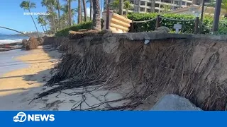 Maui beach erosion is direct impact of sea level rise, global warming, experts say | VIDEO