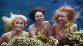 Mako Mermaids Musica Inícial