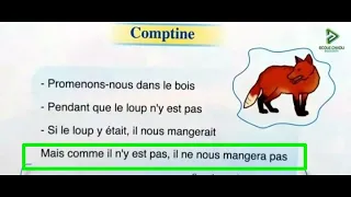 Comptine.  Mes amis les animaux.  Pour communiquer en français 2AP,  page 78.