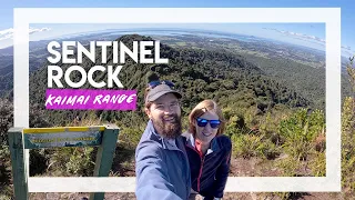Sentinel Rock | Tramping in the Kaimai Range, NZ