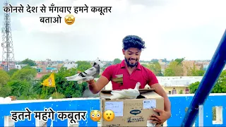 दूसरे देश से कबूतर मंगवाए🐦✈️!! Pigeon Purchased From Other Country 🇨🇨 !! उड़ दिए