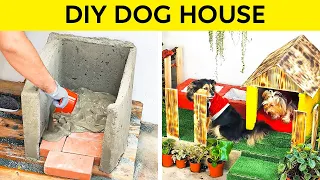 DIY DOG HOUSE || Amazing Crafts For Your Lovely Pets