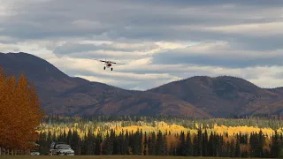 Bush Plane Landing On Grass Runway In Alaska - Eagle, Fairbanks