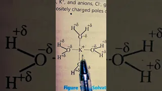 ❤️Solvation or Hydration ||👈 💧 #youtubeshorts #shorts #chemistry #short #shorts #chemistry #science