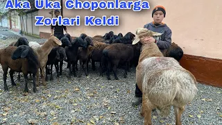 Tajikistan dan zor qoy opkeladigon aka ukalar ☎️993671918