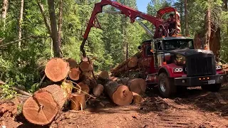 Logging 2