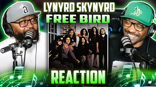 Lynyrd Skynyrd - Freebird (REACTION) #lynyrdskynyrd #reaction #trending