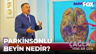 Parkinson Hastalığı Nedir? Belirtileri Nelerdir? - Çağla ile Yeni Bir Gün 424. Bölüm