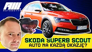 Skoda Superb Scout 2.0 TSI 280 KM, czyli 5,7 do setki i napęd 4x4. Czy jest lepsza niż SUV?