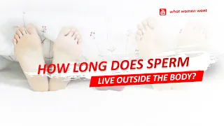 ✔ How Long Does Sperm Live Outside The Body #shorts