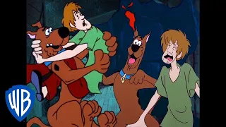 Scooby-Doo! en Latino | Gatos Asustadizos Scooby & Shaggy | WB Kids