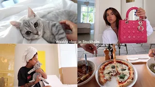 I'M BACK!!! weekly vlog ♡ life update, I'm a cat mom & stockholm day to day