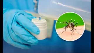 EsSalud enseña a preparar repelente casero para prevenir el dengue