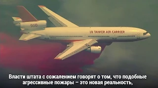 Взяли под контроль