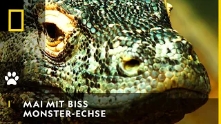 MAI MIT BISS - Die Monster-Echsen | National Geographic