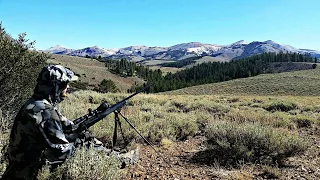 The Worst Thing That Could Happen... California Public Land Deer Hunt | Mule Deer Hunting Vlog