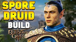 THE BEST Spore Druid Melee Hybrid Build for Baldur's Gate 3