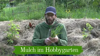 Mulch im Hobbygarten | Einsatz und Mulcharten | Kurze Wege für den Klimaschutz | Weltgarten Tunsel