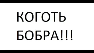 ЛУЧШИЙ Дебют? Гайд Как Задвигать КОГОТЬ БОБРА!!!