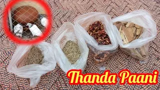 Thanda paani for breedar pigeons | Domeli Birds