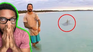 5 Shark Encounters That Will Terrorize You REACTION!!!!