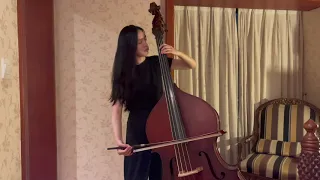 Double Bass Excerpts: Beethoven 5 Scherzo and Trio, Mozart 40 First and Fourth Movements