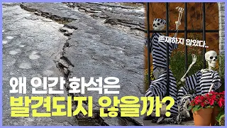 인간 화석은 왜 없을까?