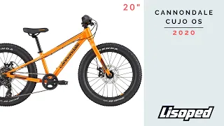 Детский велосипед Cannondale CUJO 20 (2020)