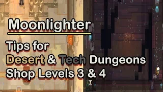 Moonlighter: Tips for the Final Two Dungeons and Shop Levels!
