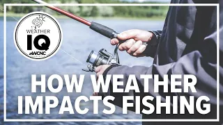 Here's how weather impacts fishing
