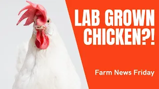 Is Lab-Grown Meat the Future?!